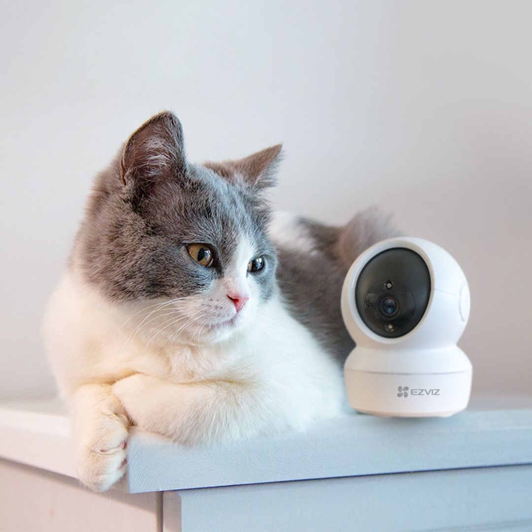 Las mejores cámaras IP para vigilar tu casa cuando no estás