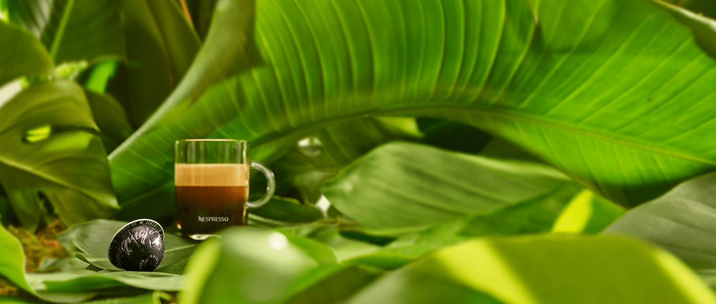 Reviving Origins Nespresso