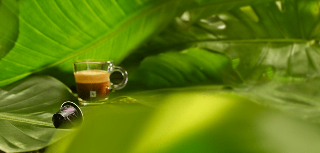 Reviving Origins Nespresso