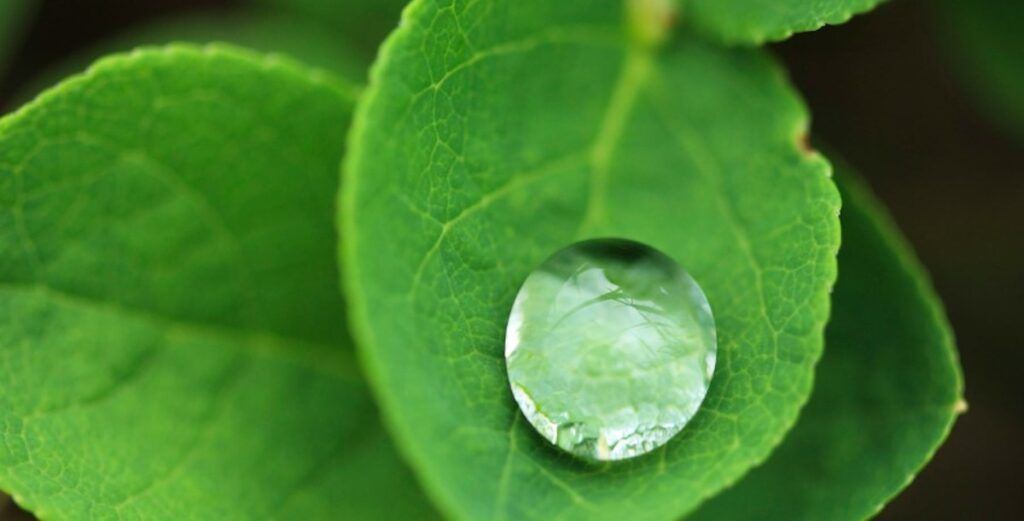 sustentabilidad en la impresión