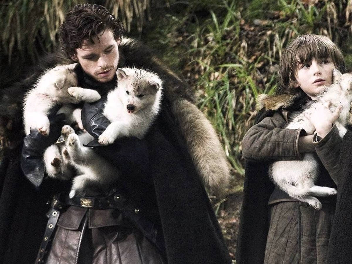 lobo huargo Juego de Tronos