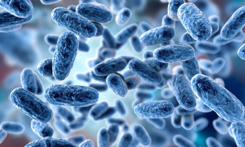 Bacterias ambientales: La clave para una biorremediación más eficiente 1 Bacterias ambientales